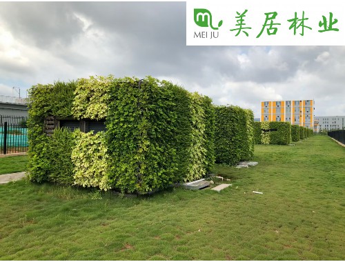 下城绿化工程公司电话