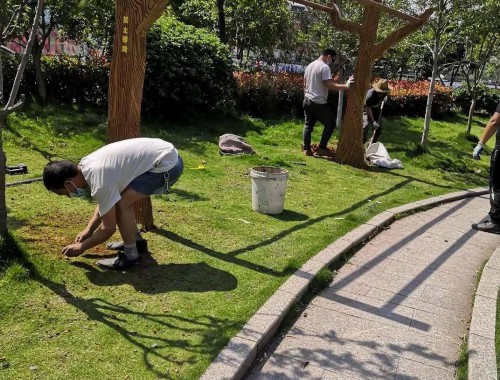 永登城市绿化地址